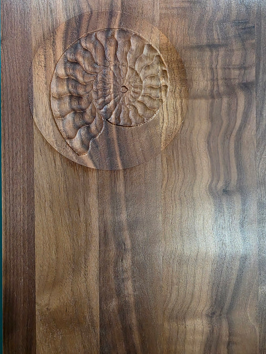 Nautilus Shell