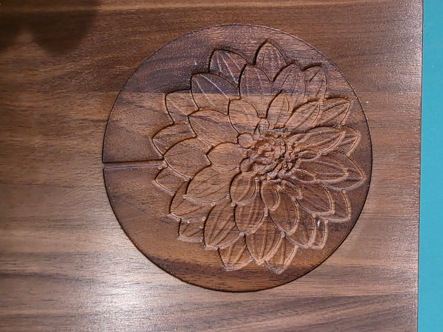 Dahlia
