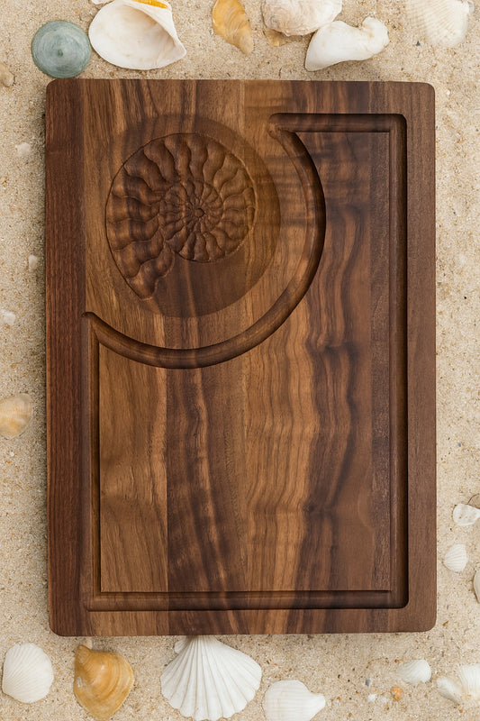 Nautilus Shell
